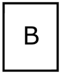 bingo-B